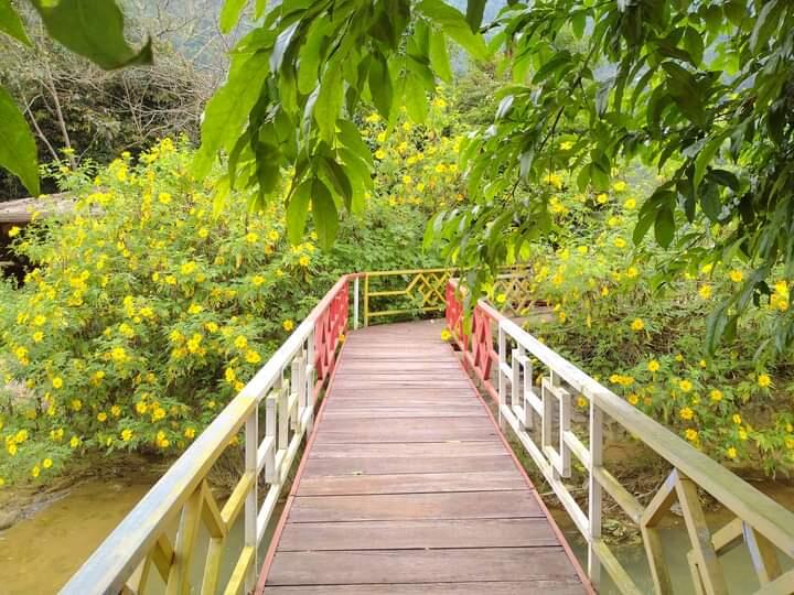 Thác Dải Yếm Eco Farm 3