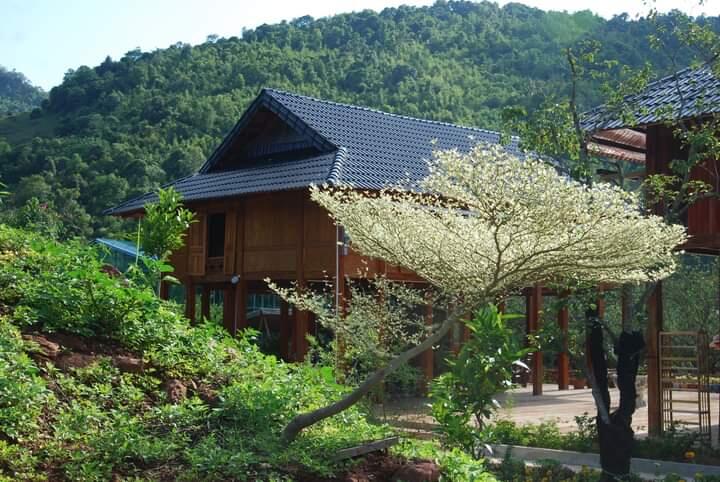 Thác Dải Yếm Eco Farm 5