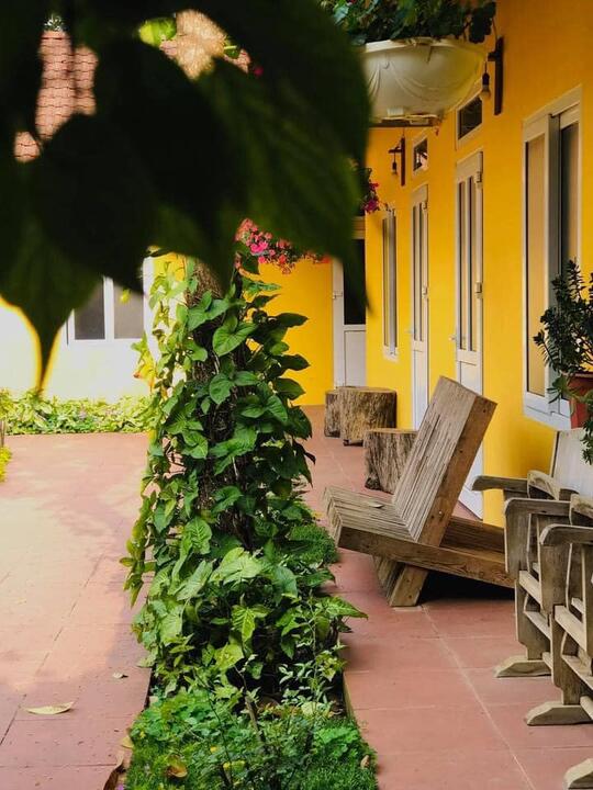 Bơ House Homestay 4