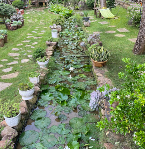 Gobies Garden (Vườn Bống) 4
