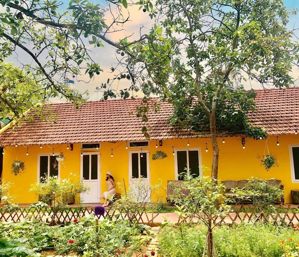 Bơ House Homestay 3