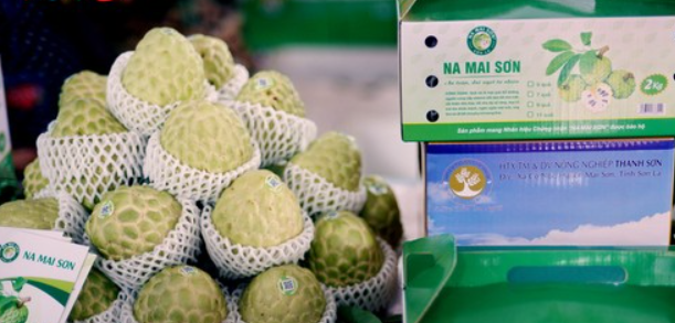 Na Mai Sơn – Ngọt thơm đặc sản vùng đất nắng gió Tây Bắc
