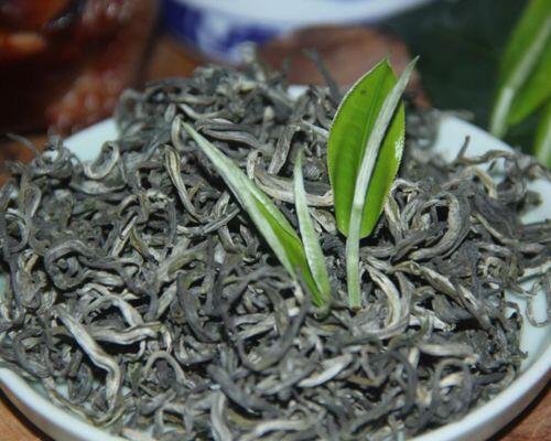 Chè Shan Tuyết Sơn La