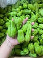 Su Su Bao Tử Mộc Châu – Nụ non của vùng đất mát lành