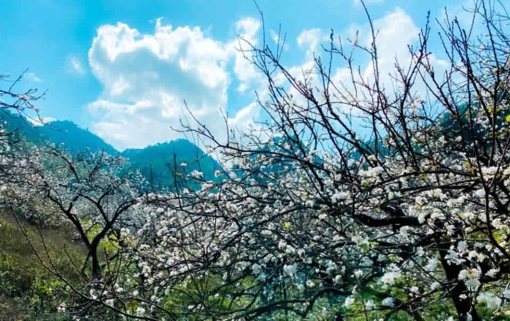 Khu du lịch Mu Náu Farm địa điểm tổ chức thời trang thực cảnh.