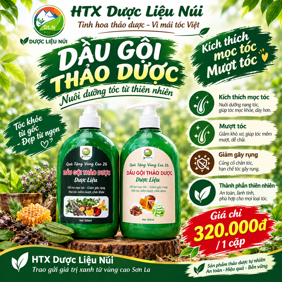 Dầu gội nhà nấu – Bộ đôi Dược Liệu Núi & Táo Mèo