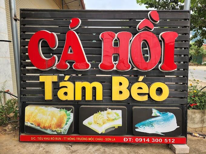 Cá Hồi Tám Béo 2