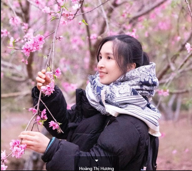 Hoàng Thị Hương