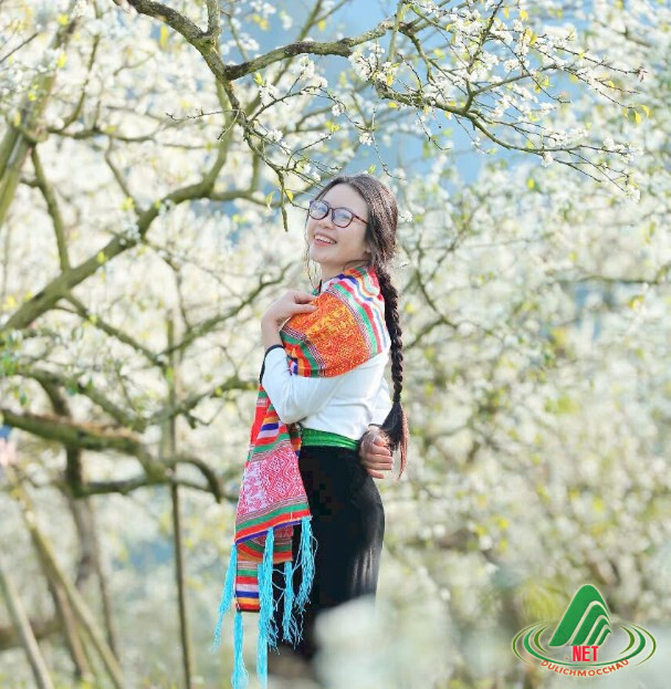 Hà Thị Cẩm Hương