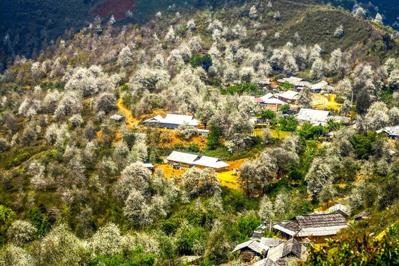 Bản Nậm Nghiệp 3