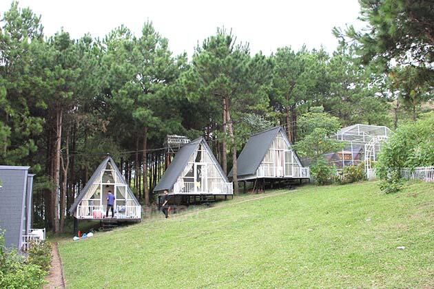 Pu Nhi Farm 5