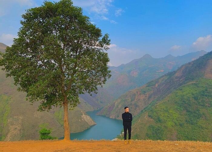 Mỏm cá heo và cây cô đơn 5