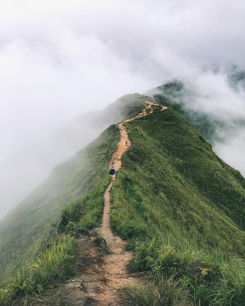 Sống lưng Khủng Long 4