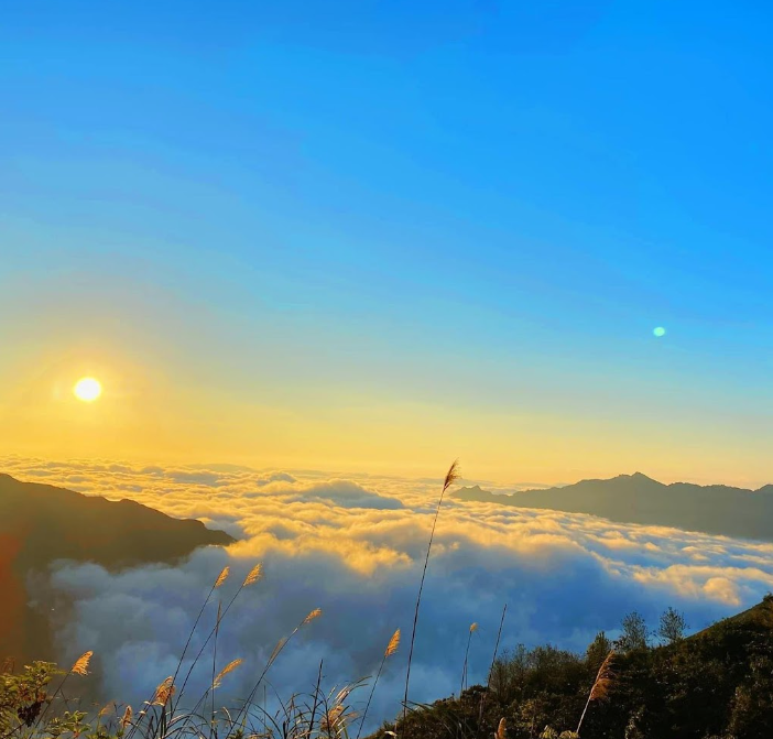 Mũi Lạc Đà 4