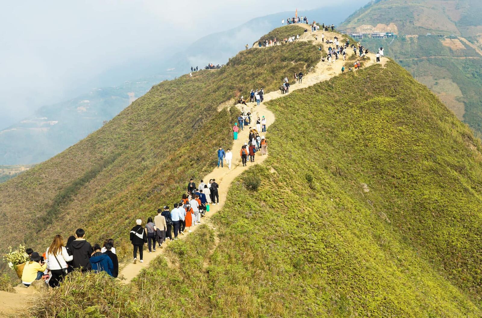 Sống lưng Khủng Long 3