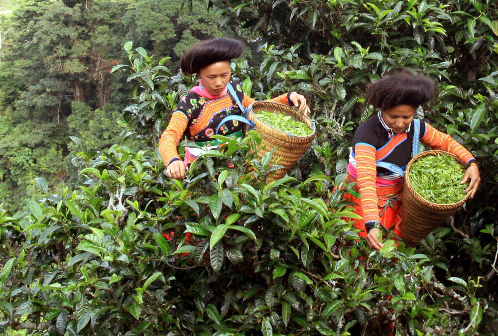 Bản Bẹ 3
