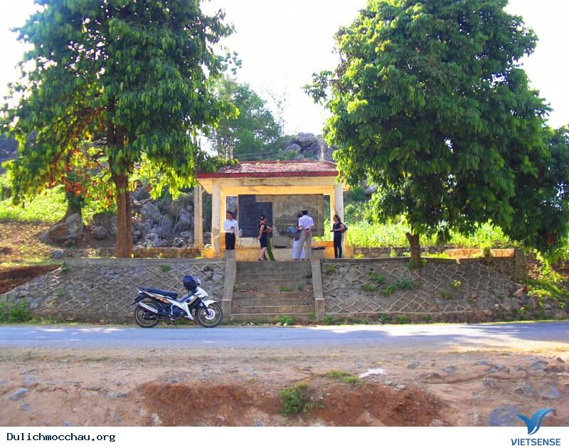 Cây đa Pắc Ma 2