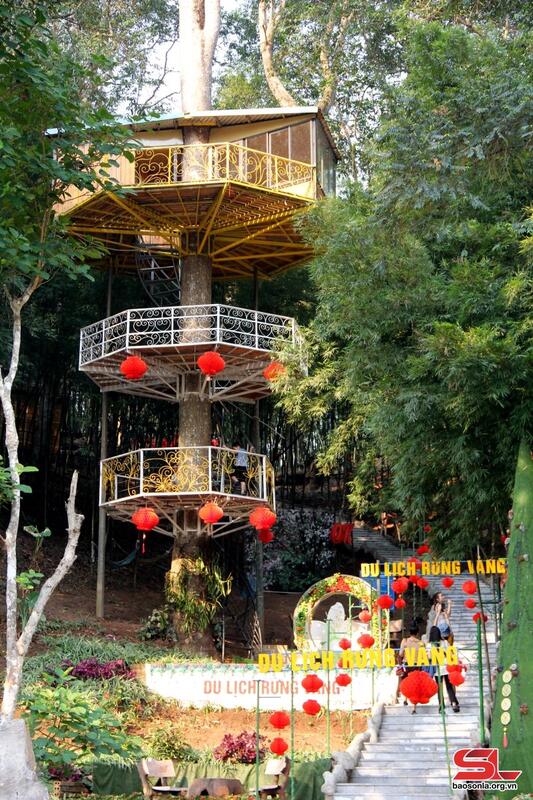 Khu du lịch Rừng Vàng 4