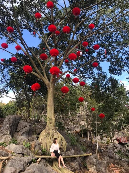 Thung Lũng Hoa Ban 3