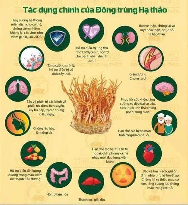 Hợp tác xã Đông trùng hạ thảo Mộc Châu 3