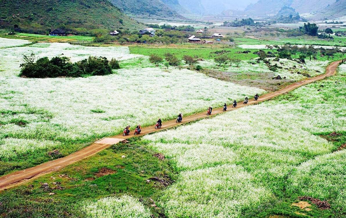 Bản Thung Cuông (Thông Cuông) 4