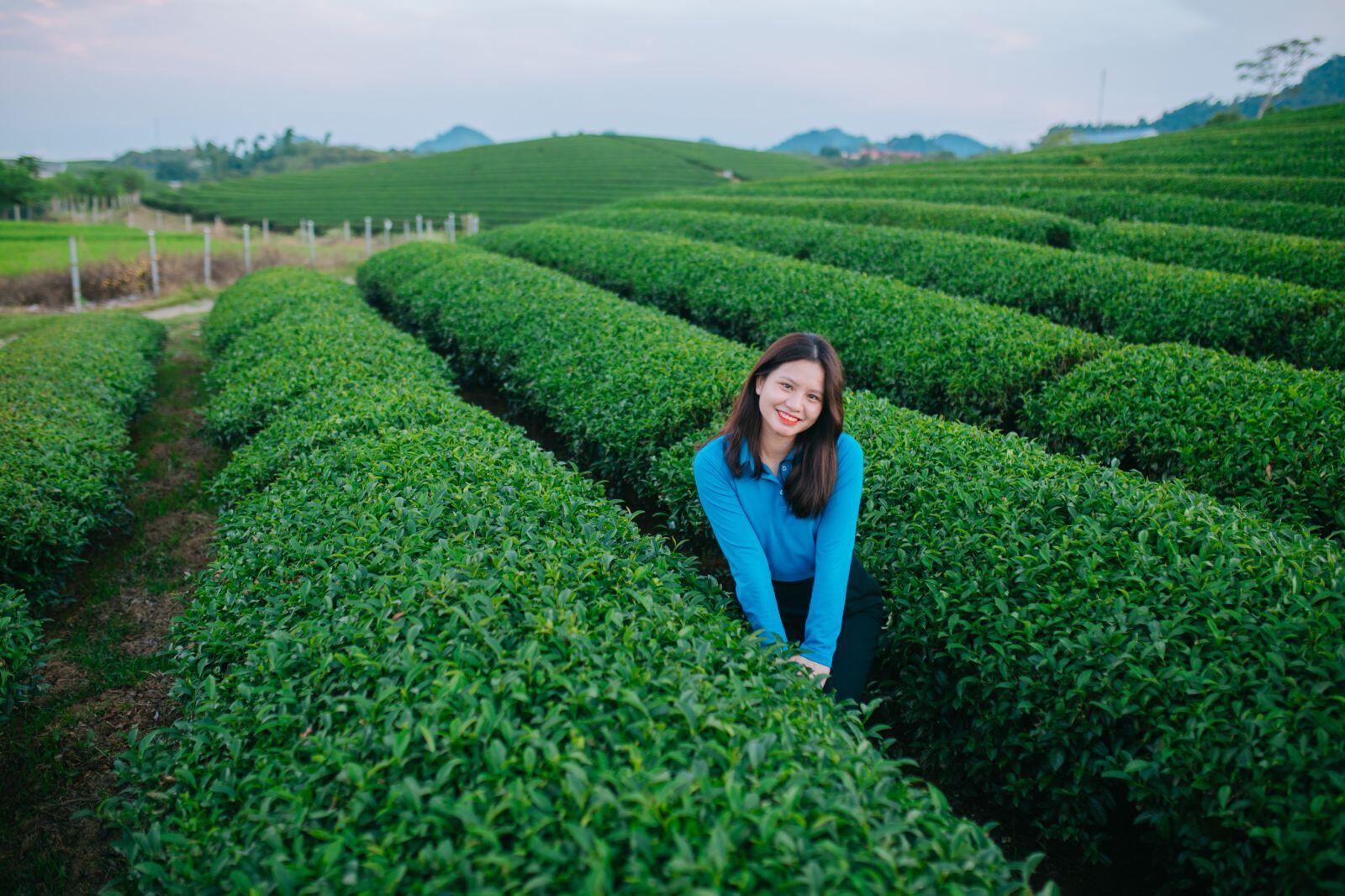 Khu Du lịch vườn hoa đồi chè trái tim 3