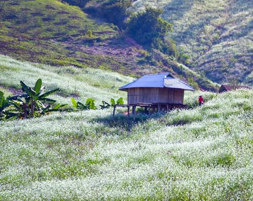 Bản Thung Cuông (Thông Cuông) 3