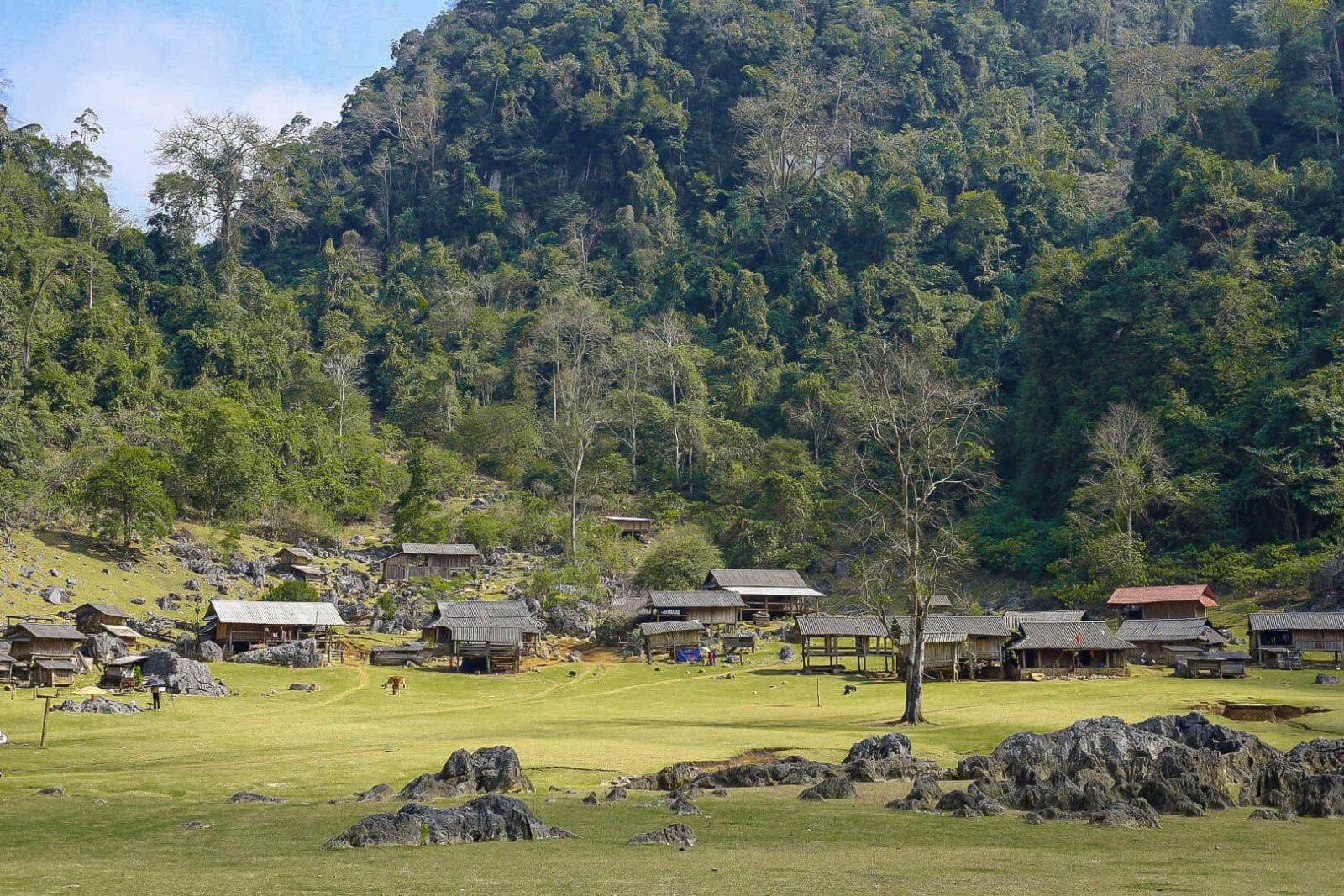 Tà số 5