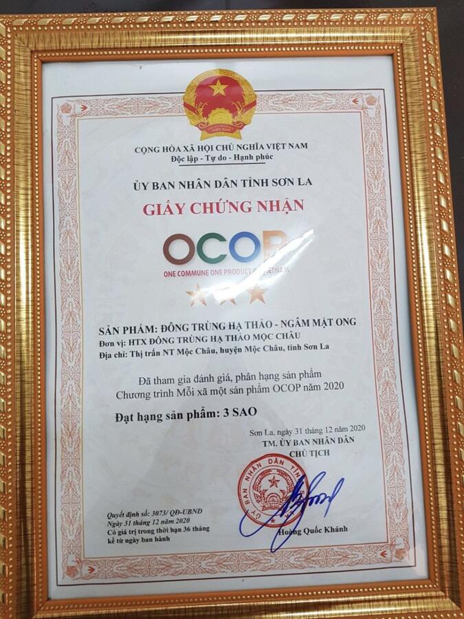 Hợp tác xã Đông trùng hạ thảo Mộc Châu 2