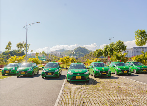 Công Ty TNHH Mai Linh